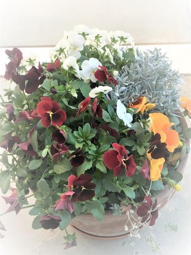 20180330_090424902_iOS.jpg
