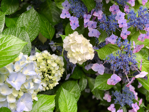 AE08F7A0-E52A-463F-A51D-4DC55D47DFC7.jpg