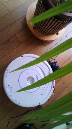 2012071913120000.jpg